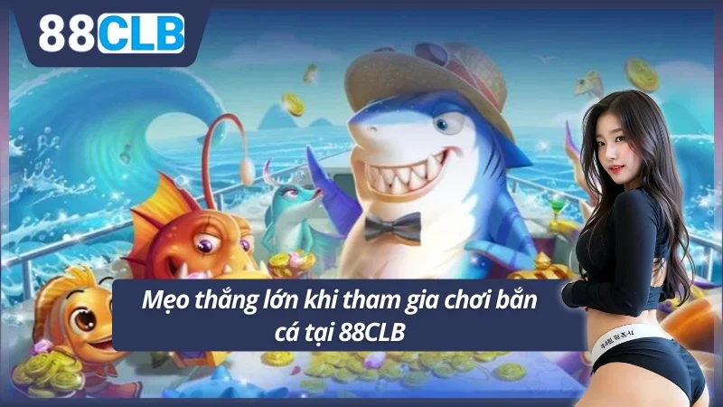 Mẹo để thắng nhiều tiền khi tham gia săn cá