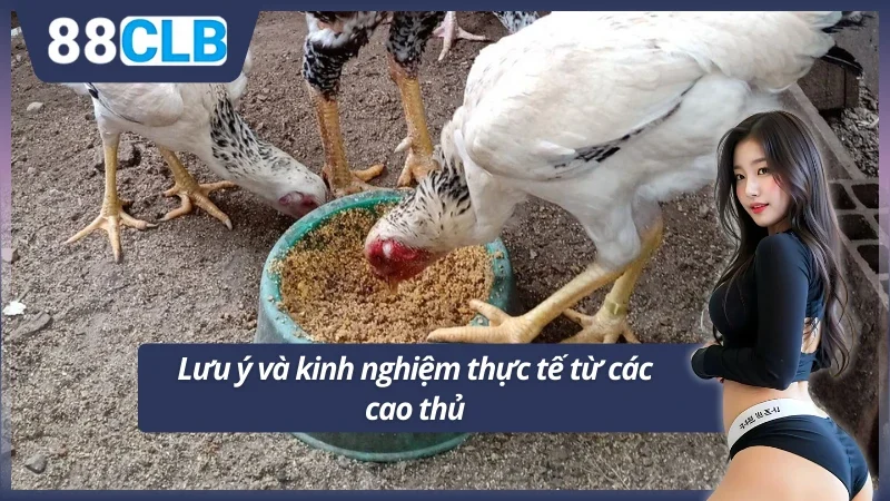 Chú ý quan trọng và kinh nghiệm không thể bỏ qua