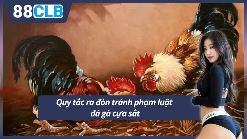 Luật trong đá gà về những đòn tránh cực gắt
