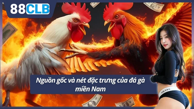 Vẻ đẹp riêng của đá gà ở Nam Bộ